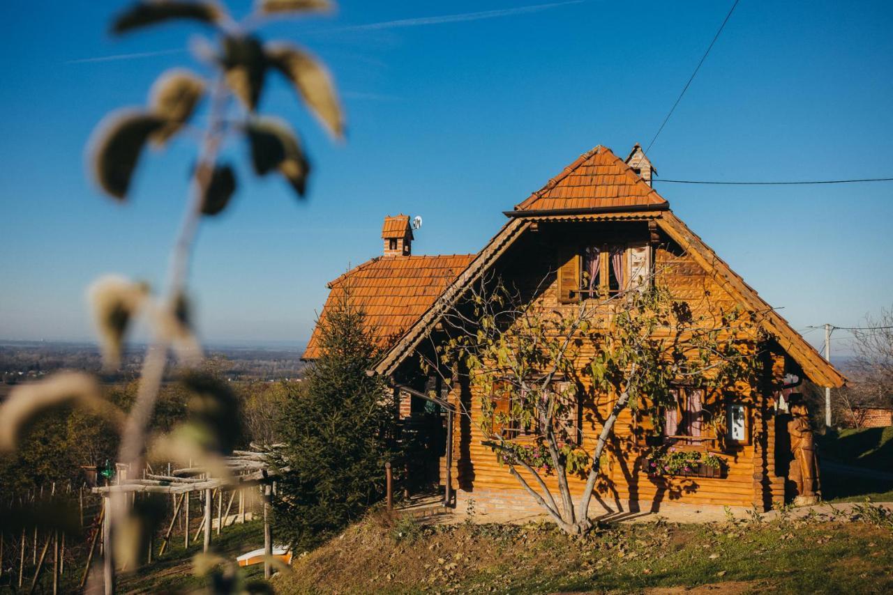 Holiday Home Wine & Relax Sveti Martin Na Muri Gornji Koncovcak Exterior photo