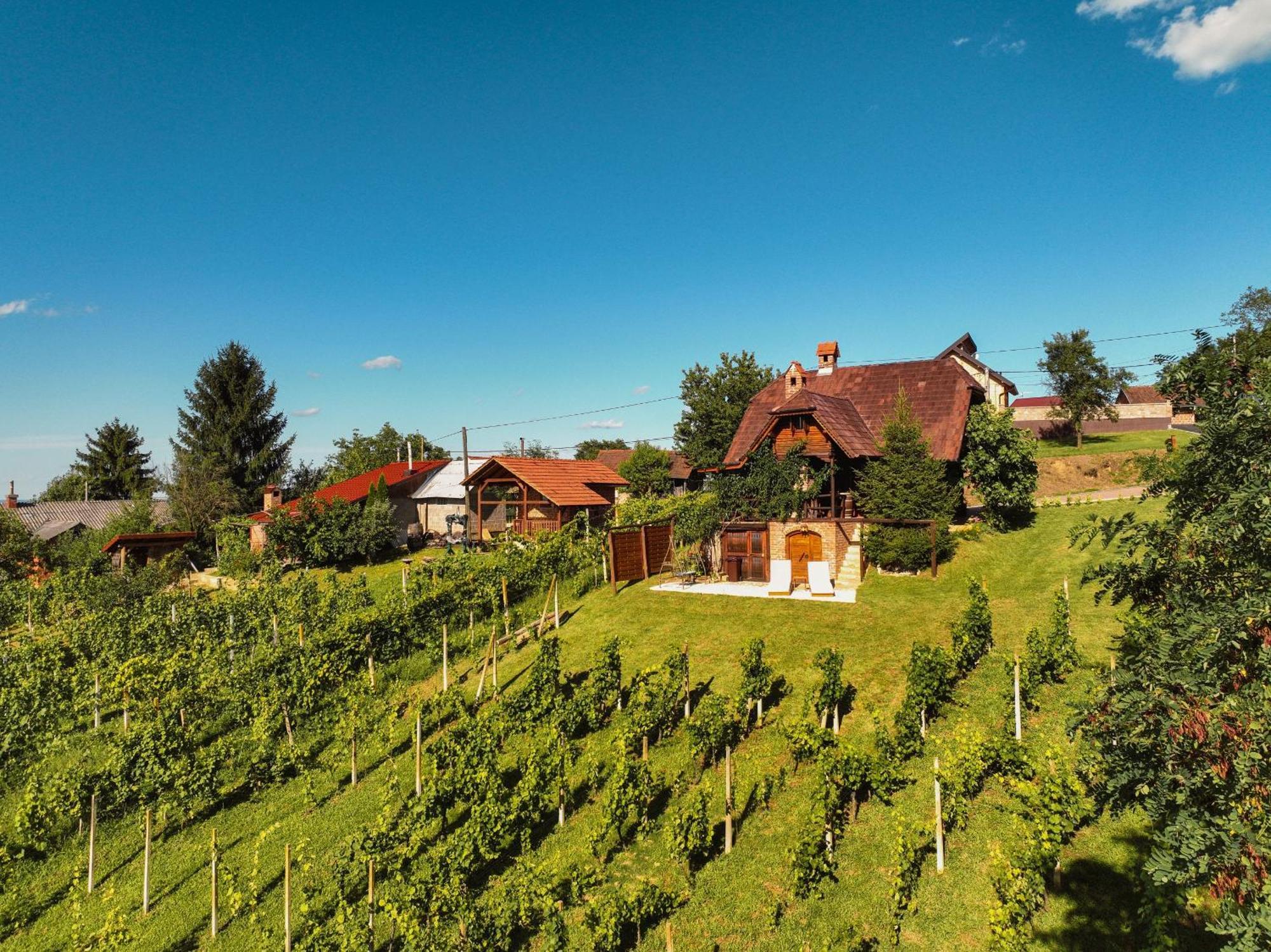 Holiday Home Wine & Relax Sveti Martin Na Muri Gornji Koncovcak Exterior photo